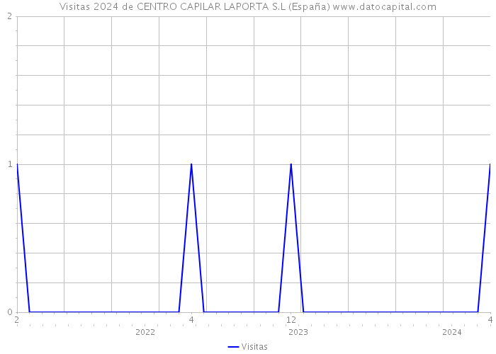 Visitas 2024 de CENTRO CAPILAR LAPORTA S.L (España) 