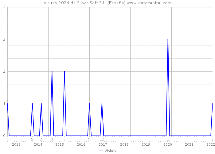 Visitas 2024 de Silver Soft S.L. (España) 