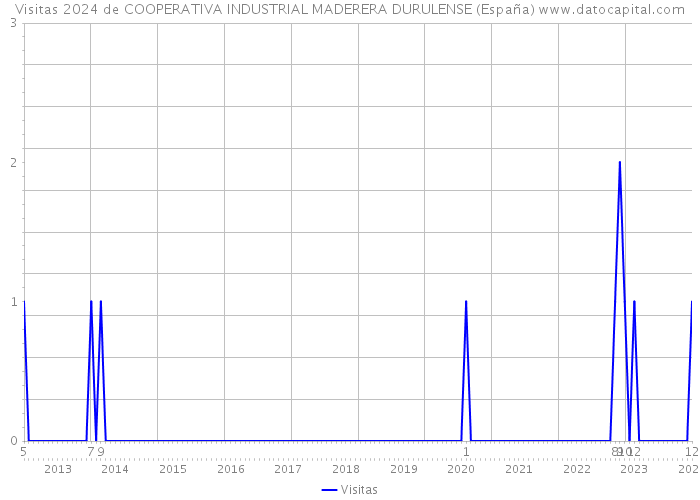 Visitas 2024 de COOPERATIVA INDUSTRIAL MADERERA DURULENSE (España) 