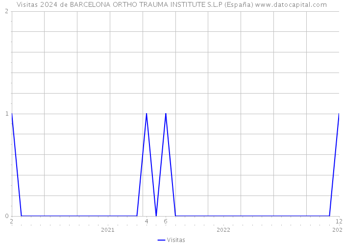 Visitas 2024 de BARCELONA ORTHO TRAUMA INSTITUTE S.L.P (España) 