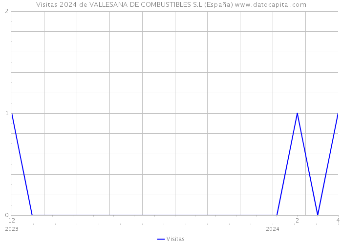 Visitas 2024 de VALLESANA DE COMBUSTIBLES S.L (España) 