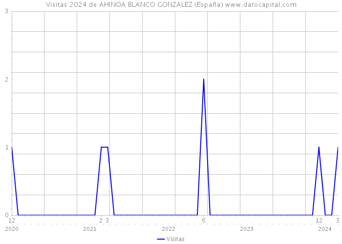 Visitas 2024 de AHINOA BLANCO GONZALEZ (España) 