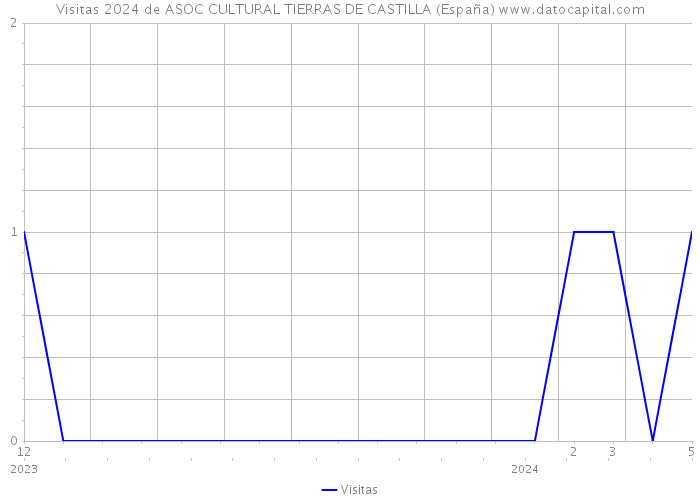 Visitas 2024 de ASOC CULTURAL TIERRAS DE CASTILLA (España) 
