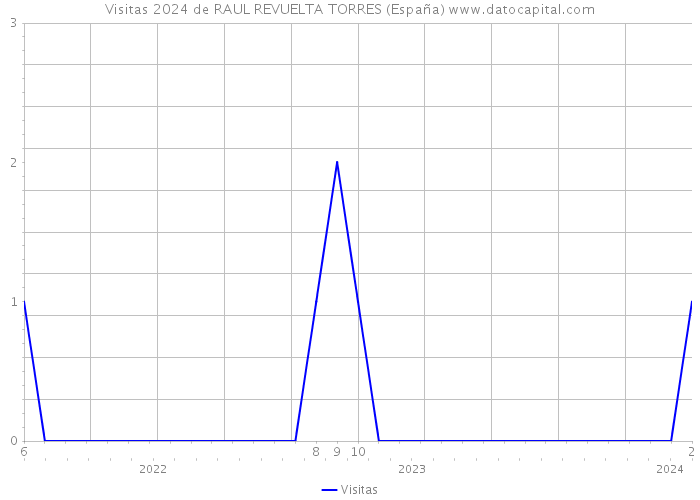 Visitas 2024 de RAUL REVUELTA TORRES (España) 