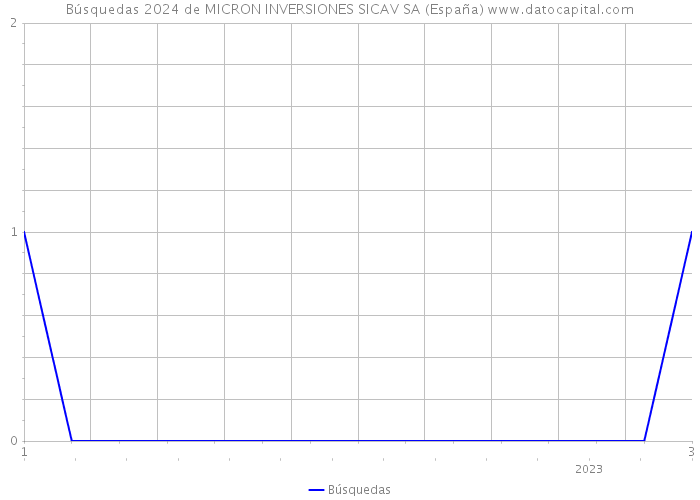 Búsquedas 2024 de MICRON INVERSIONES SICAV SA (España) 