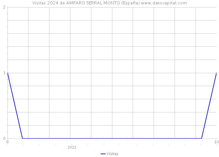 Visitas 2024 de AMPARO SERRAL MONTO (España) 