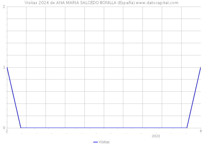 Visitas 2024 de ANA MARIA SALCEDO BONILLA (España) 
