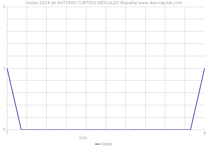 Visitas 2024 de ANTONIO CURTIDO DESCALZO (España) 
