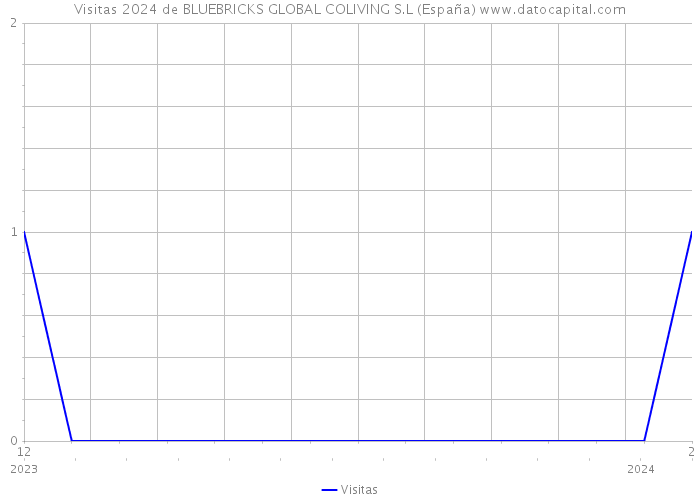 Visitas 2024 de BLUEBRICKS GLOBAL COLIVING S.L (España) 
