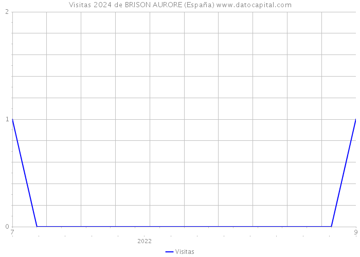 Visitas 2024 de BRISON AURORE (España) 