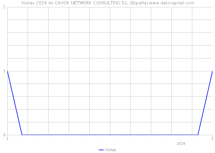 Visitas 2024 de CAVOK NETWORK CONSULTING S.L. (España) 