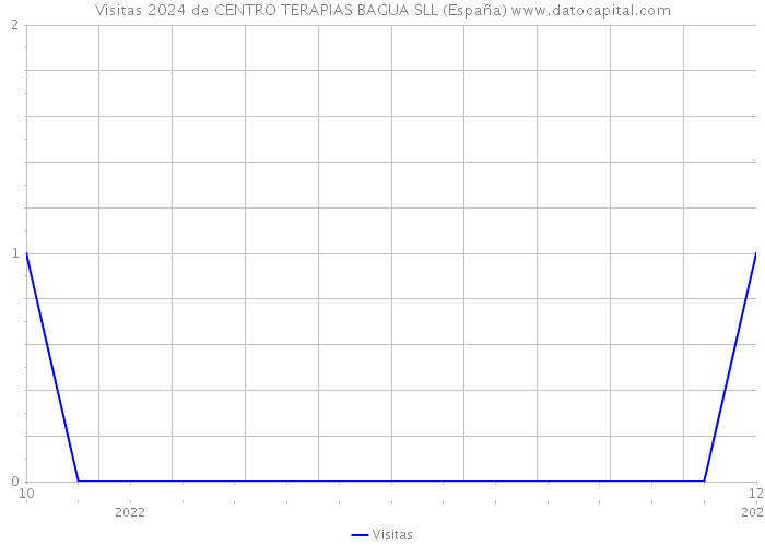 Visitas 2024 de CENTRO TERAPIAS BAGUA SLL (España) 
