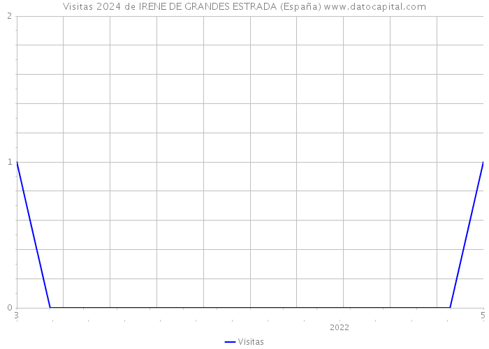 Visitas 2024 de IRENE DE GRANDES ESTRADA (España) 