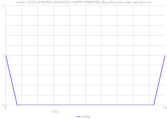 Visitas 2024 de MARIA SAGRARIO CARPIO PIMENTEL (España) 