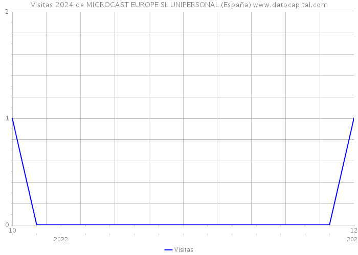 Visitas 2024 de MICROCAST EUROPE SL UNIPERSONAL (España) 