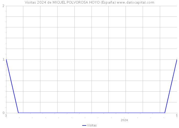 Visitas 2024 de MIGUEL POLVOROSA HOYO (España) 