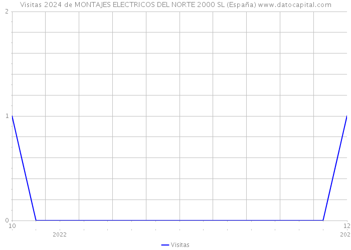 Visitas 2024 de MONTAJES ELECTRICOS DEL NORTE 2000 SL (España) 