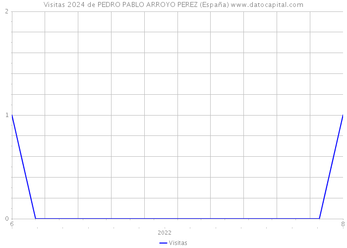 Visitas 2024 de PEDRO PABLO ARROYO PEREZ (España) 