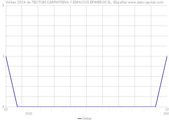 Visitas 2024 de TECTUM CARPINTERIA Y ESPACIOS EFIMEROS SL. (España) 