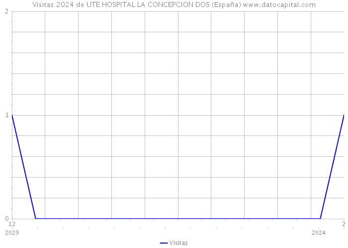 Visitas 2024 de UTE HOSPITAL LA CONCEPCION DOS (España) 