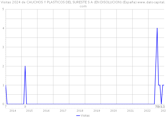 Visitas 2024 de CAUCHOS Y PLASTICOS DEL SURESTE S A (EN DISOLUCION) (España) 