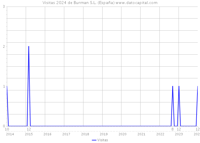 Visitas 2024 de Burman S.L. (España) 