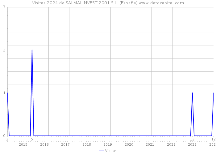 Visitas 2024 de SALMAI INVEST 2001 S.L. (España) 