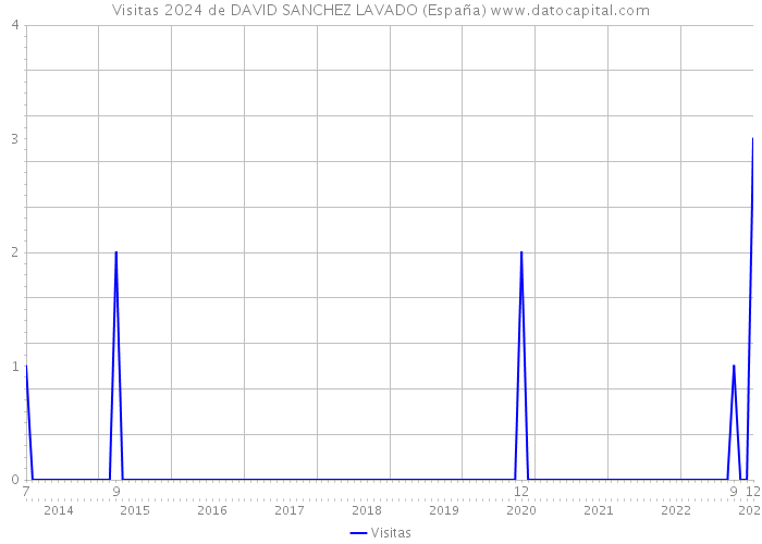 Visitas 2024 de DAVID SANCHEZ LAVADO (España) 