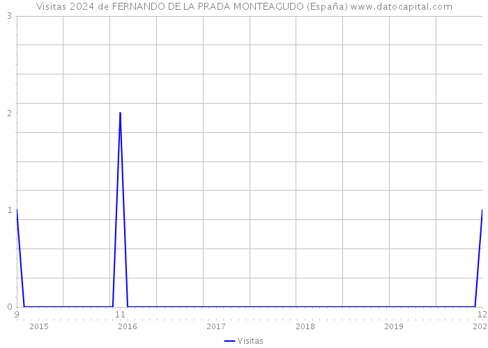 Visitas 2024 de FERNANDO DE LA PRADA MONTEAGUDO (España) 