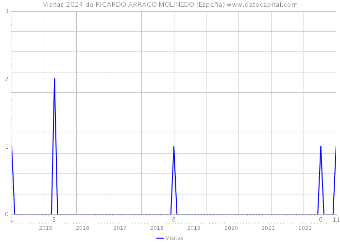Visitas 2024 de RICARDO ARRACO MOLINEDO (España) 
