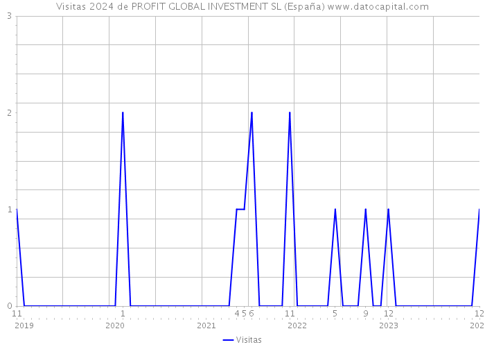 Visitas 2024 de PROFIT GLOBAL INVESTMENT SL (España) 