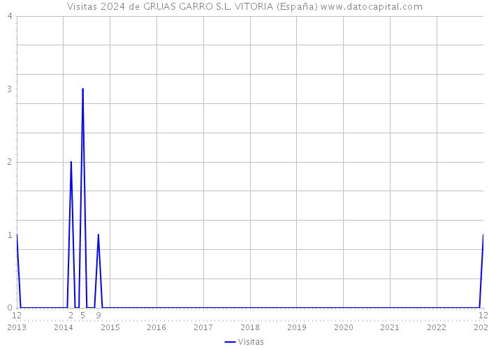 Visitas 2024 de GRUAS GARRO S.L. VITORIA (España) 