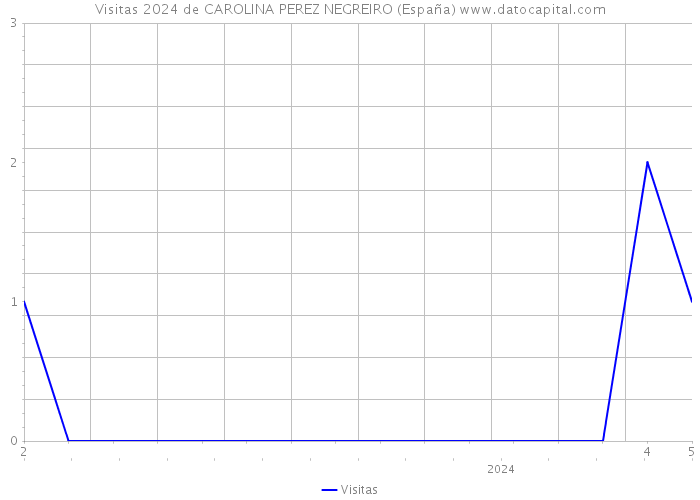 Visitas 2024 de CAROLINA PEREZ NEGREIRO (España) 
