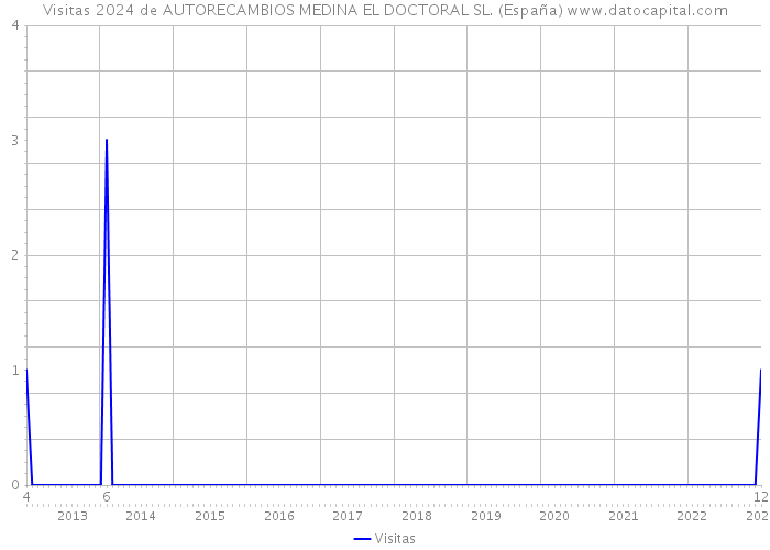 Visitas 2024 de AUTORECAMBIOS MEDINA EL DOCTORAL SL. (España) 