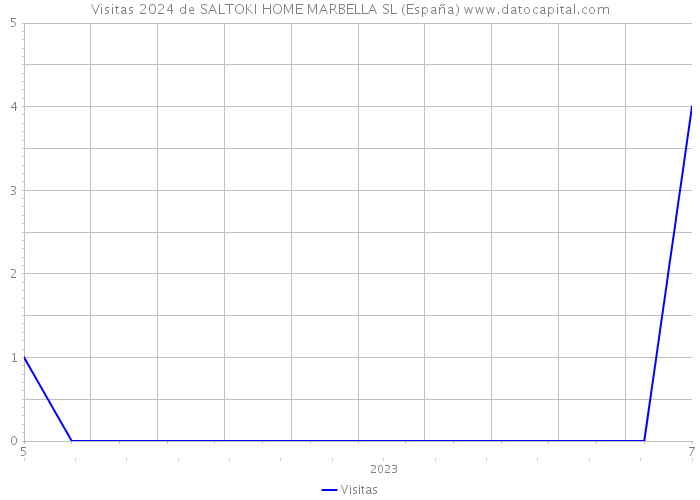 Visitas 2024 de SALTOKI HOME MARBELLA SL (España) 