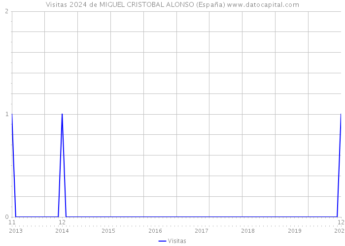 Visitas 2024 de MIGUEL CRISTOBAL ALONSO (España) 