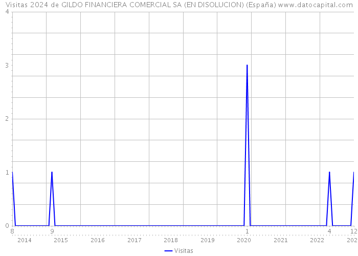 Visitas 2024 de GILDO FINANCIERA COMERCIAL SA (EN DISOLUCION) (España) 