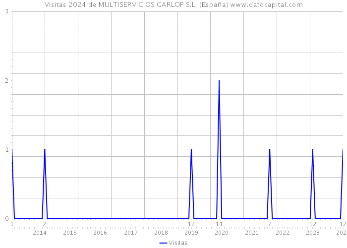 Visitas 2024 de MULTISERVICIOS GARLOP S.L. (España) 