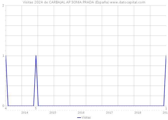 Visitas 2024 de CARBAJAL AP SONIA PRADA (España) 