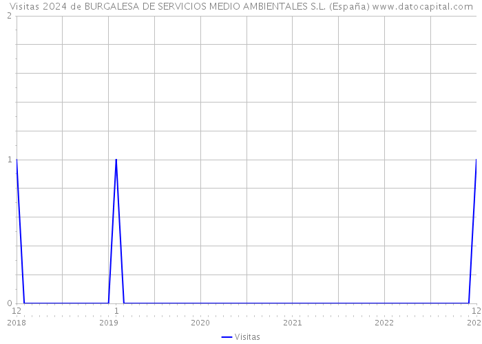 Visitas 2024 de BURGALESA DE SERVICIOS MEDIO AMBIENTALES S.L. (España) 