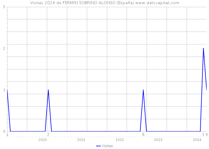 Visitas 2024 de FERMIN SOBRINO ALONSO (España) 