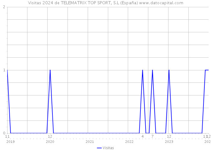 Visitas 2024 de TELEMATRIX TOP SPORT, S.L (España) 