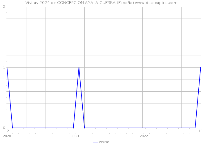 Visitas 2024 de CONCEPCION AYALA GUERRA (España) 