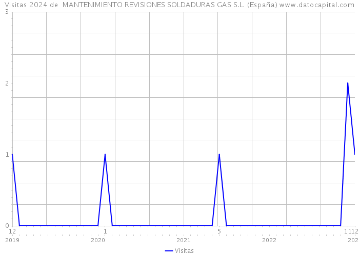 Visitas 2024 de  MANTENIMIENTO REVISIONES SOLDADURAS GAS S.L. (España) 