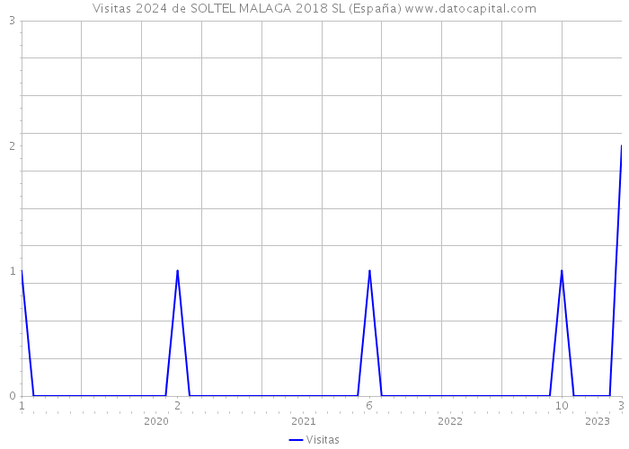 Visitas 2024 de SOLTEL MALAGA 2018 SL (España) 