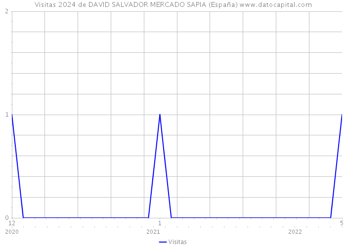 Visitas 2024 de DAVID SALVADOR MERCADO SAPIA (España) 