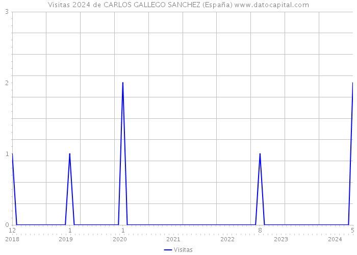Visitas 2024 de CARLOS GALLEGO SANCHEZ (España) 