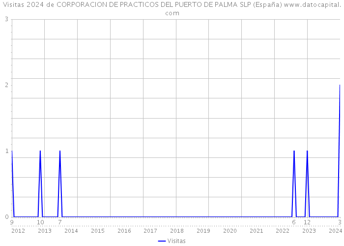 Visitas 2024 de CORPORACION DE PRACTICOS DEL PUERTO DE PALMA SLP (España) 