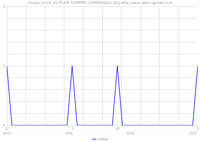 Visitas 2024 de PILAR SAMPER CAMPANALS (España) 