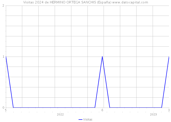 Visitas 2024 de HERMINO ORTEGA SANCHIS (España) 